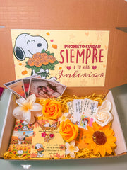 Box Snoopy xxl 2