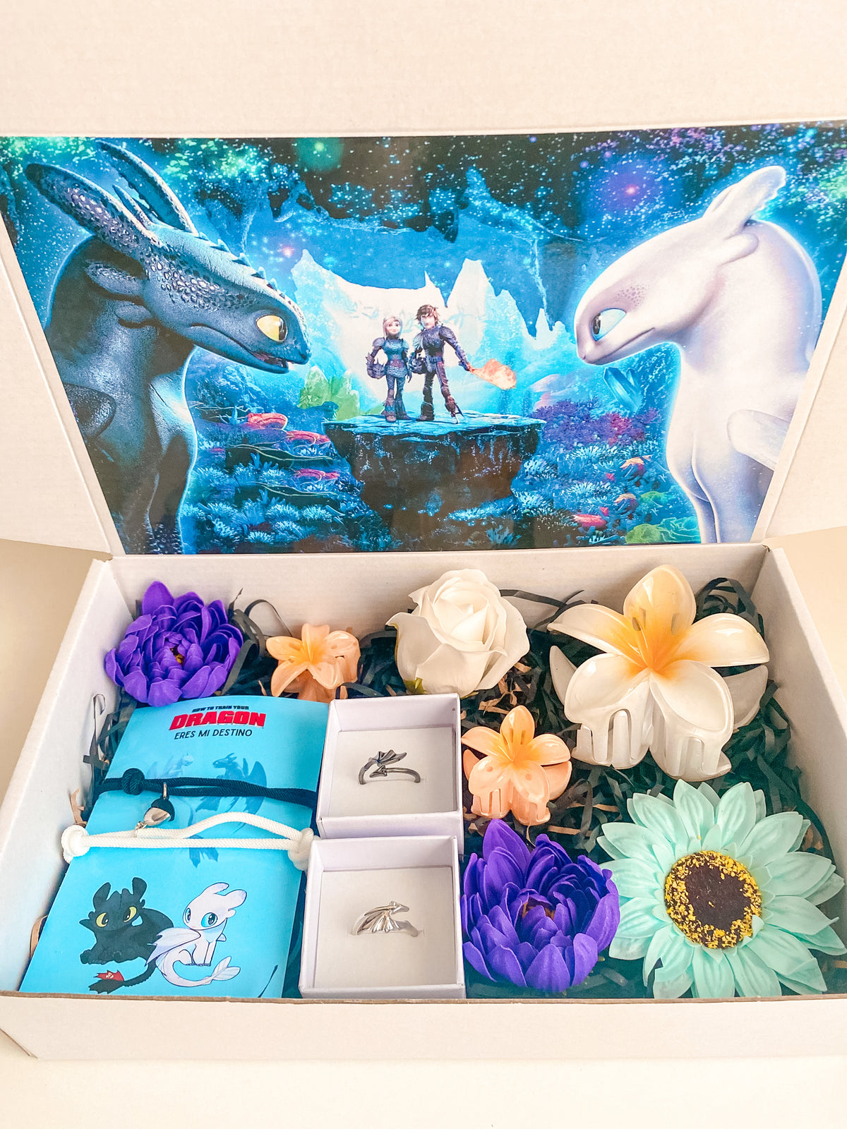 Box Como entrenar a tu Dragón Xl (chimuelo)