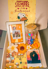 Box Snoopy xxl 3