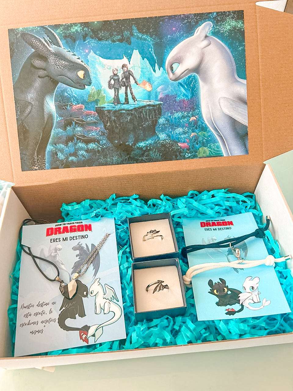 Box Como entrenar a tu Dragón Xl (chimuelo) 1