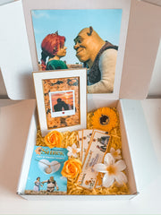 Box XXL Sherk y Fiona girasol