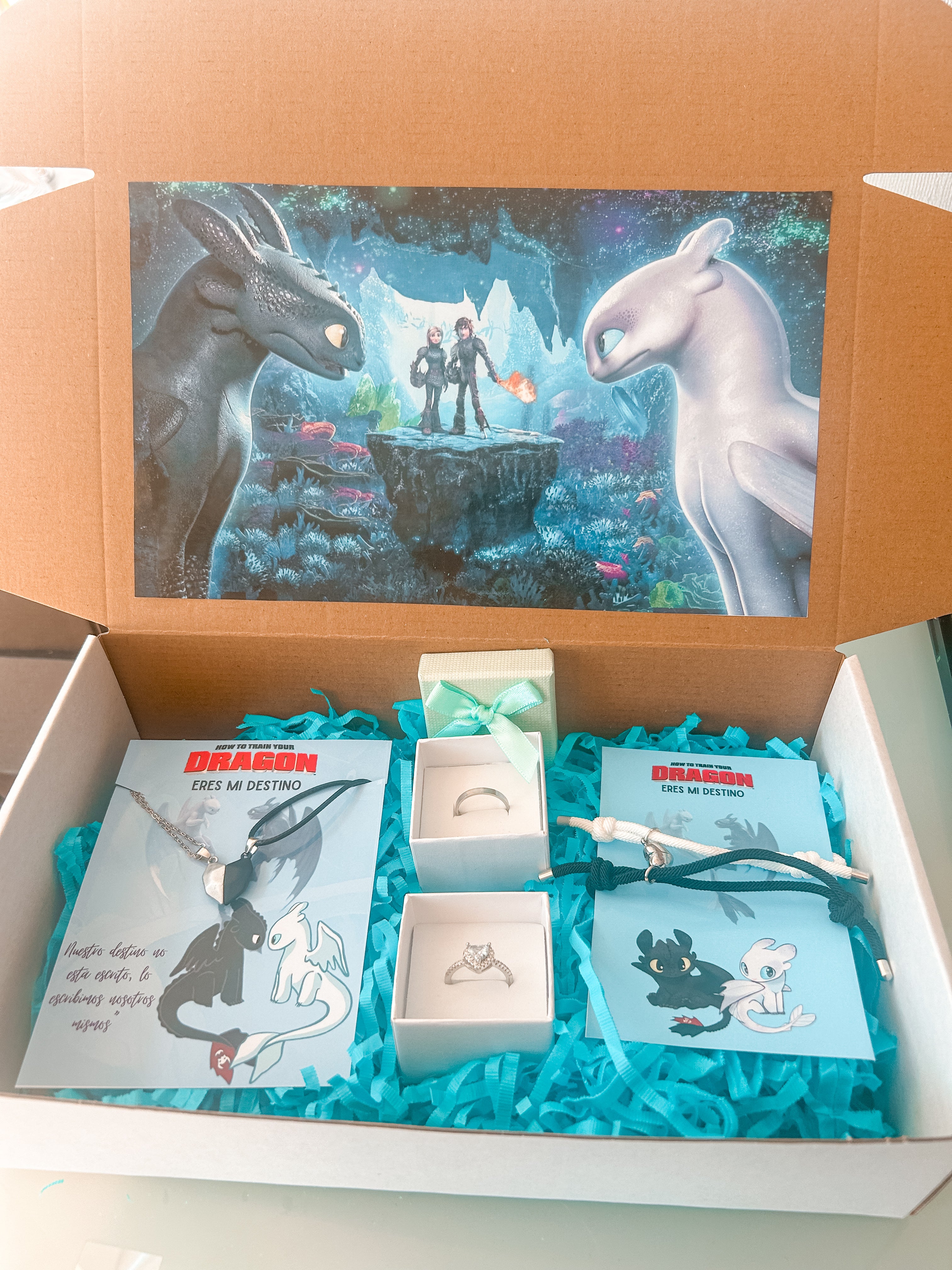 Box Como entrenar a tu Dragón Xl (chimuelo) 1