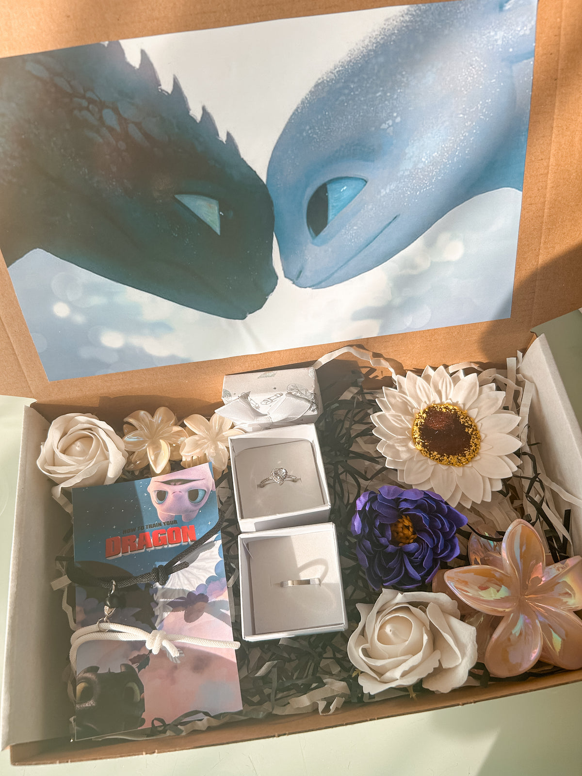 Box Como entrenar a tu Dragón Xl (chimuelo)